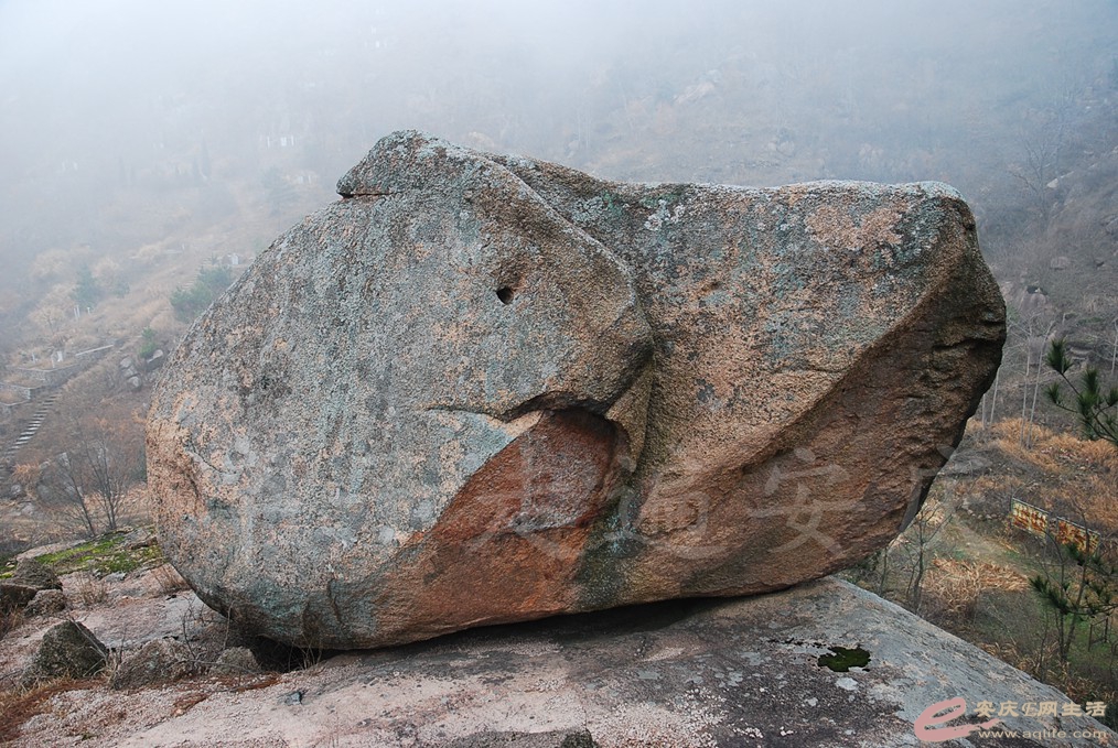 DSC_7147.jpg