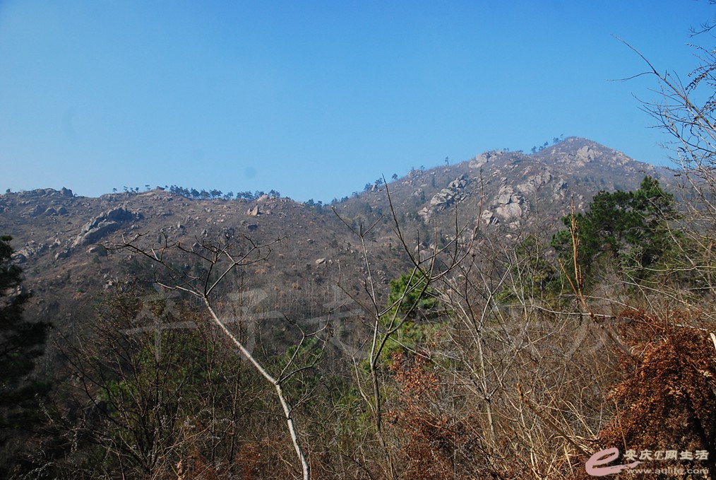 DSC_7148.jpg