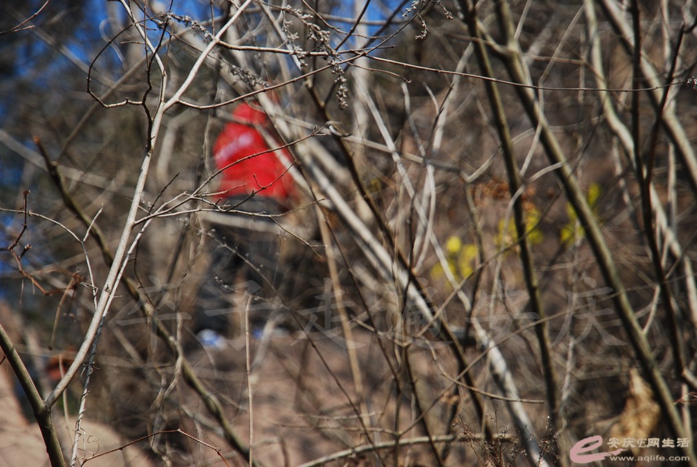 DSC_7161.jpg
