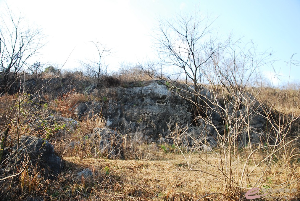 DSC_7209.jpg