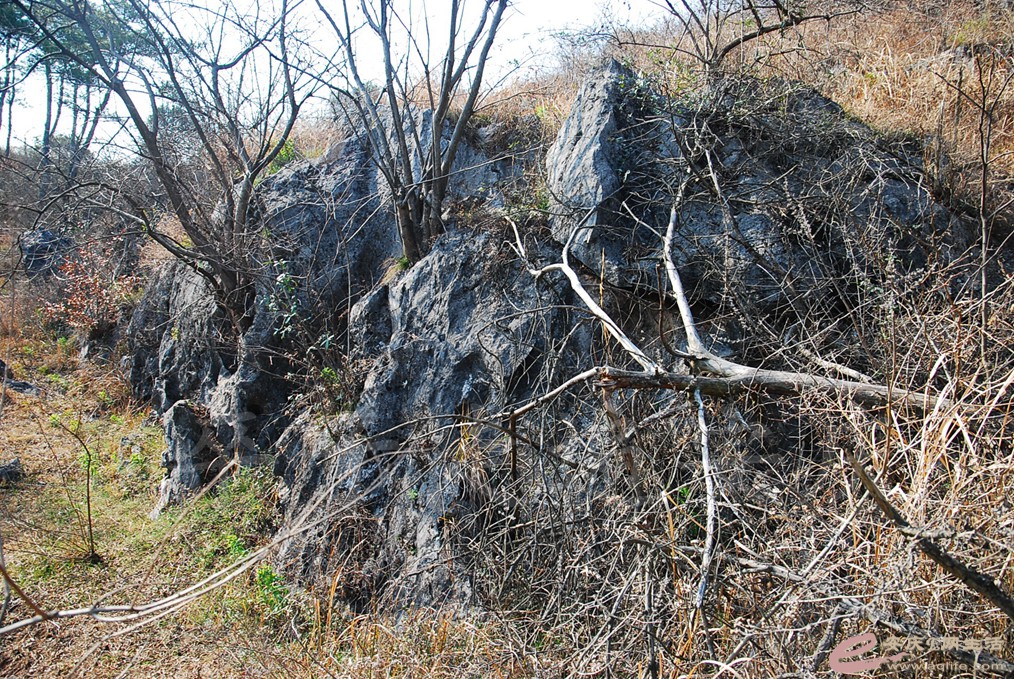 DSC_7210.jpg