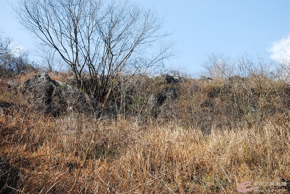 DSC_7211.jpg