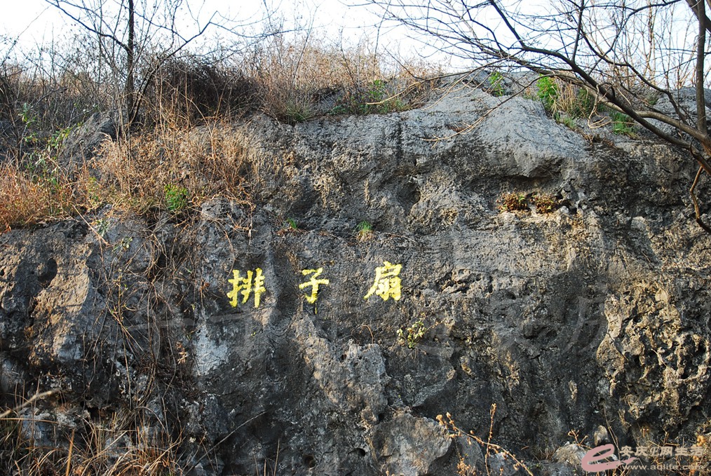 DSC_7214.jpg