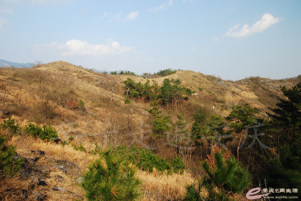DSC_7220.jpg