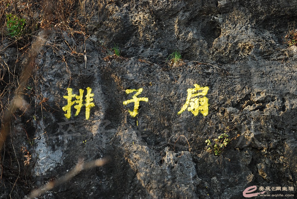 DSC_7216.jpg