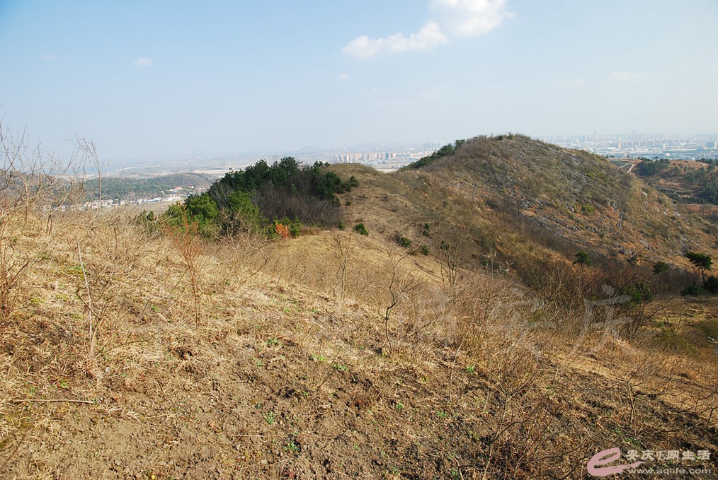 DSC_7234.jpg