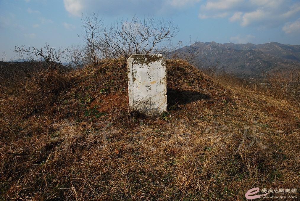 DSC_7277.jpg