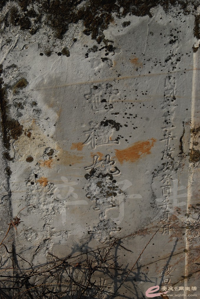 DSC_7278.jpg