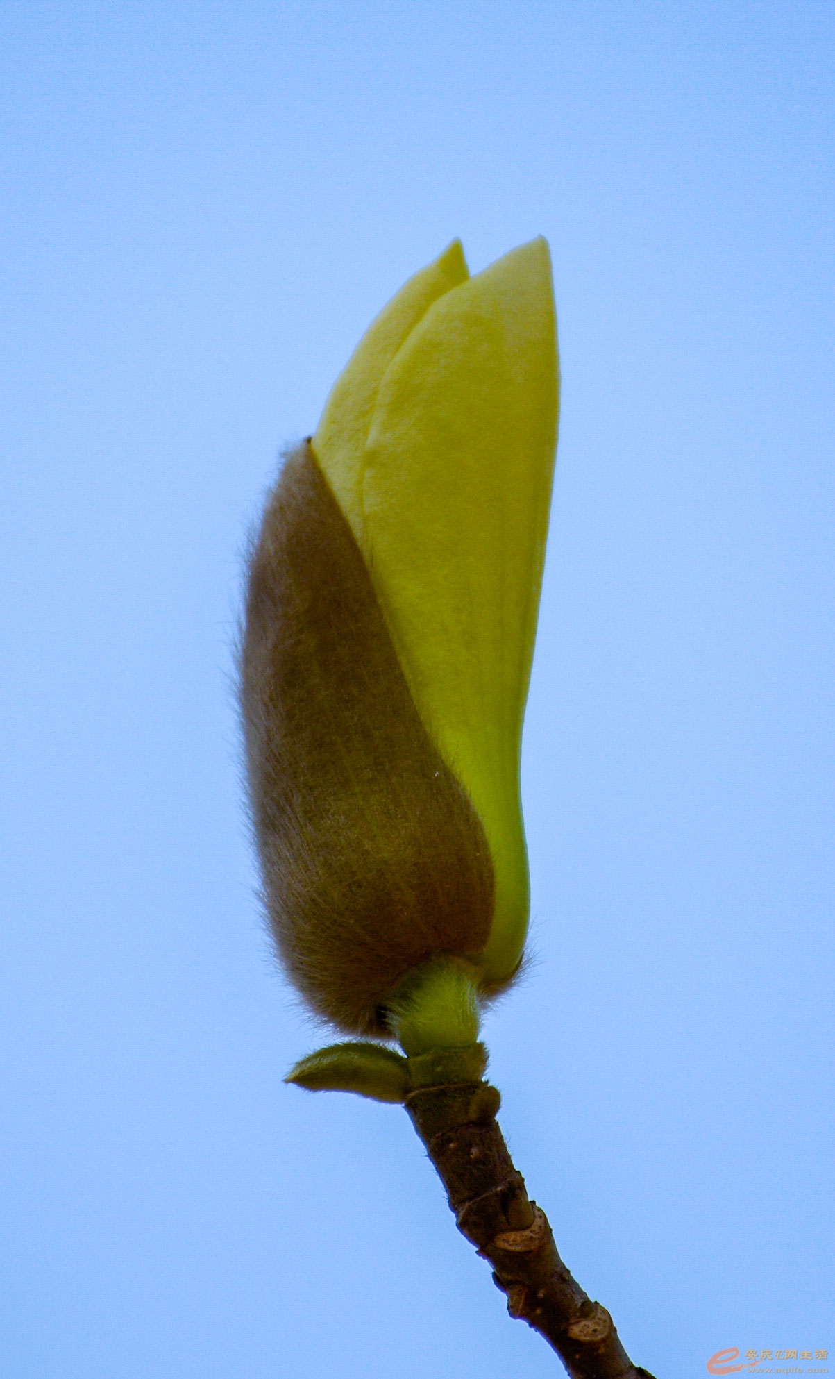 _DSC2042.jpg