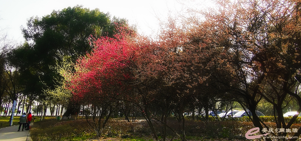 IMG_20210217_141736.jpg