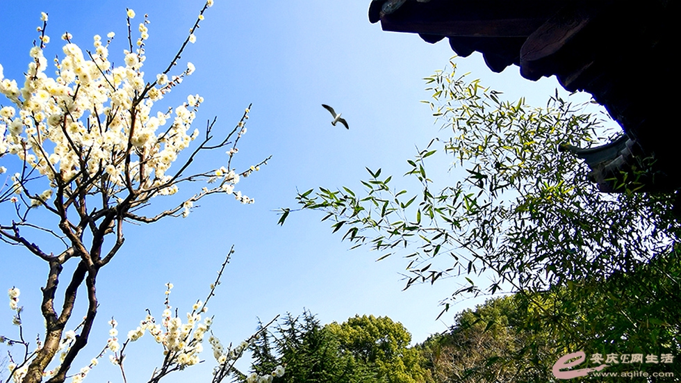 IMG_20210217_144122.jpg