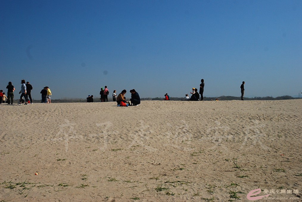 DSC_7305.jpg