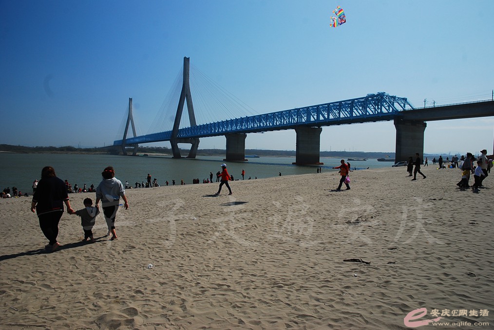 DSC_7324.jpg