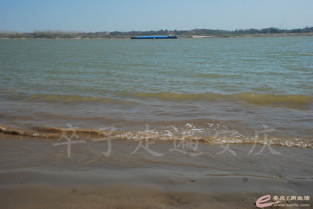 DSC_7349.jpg