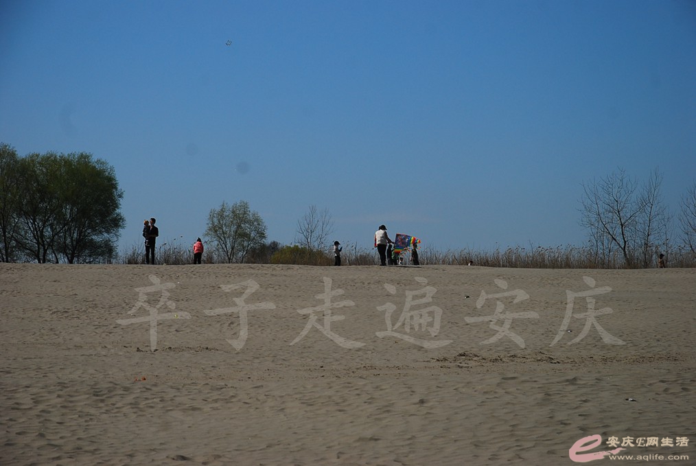 DSC_7396.jpg