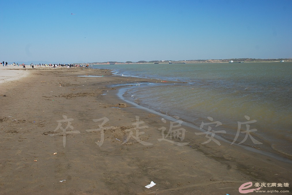 DSC_7413.jpg
