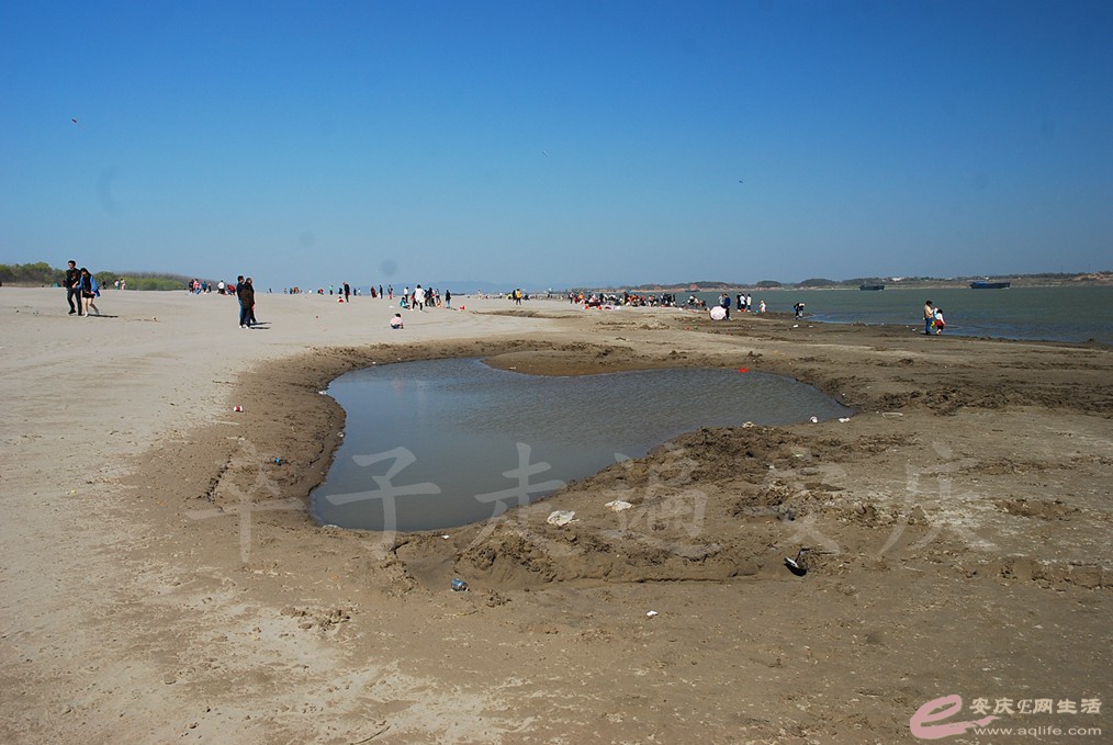 DSC_7436.jpg