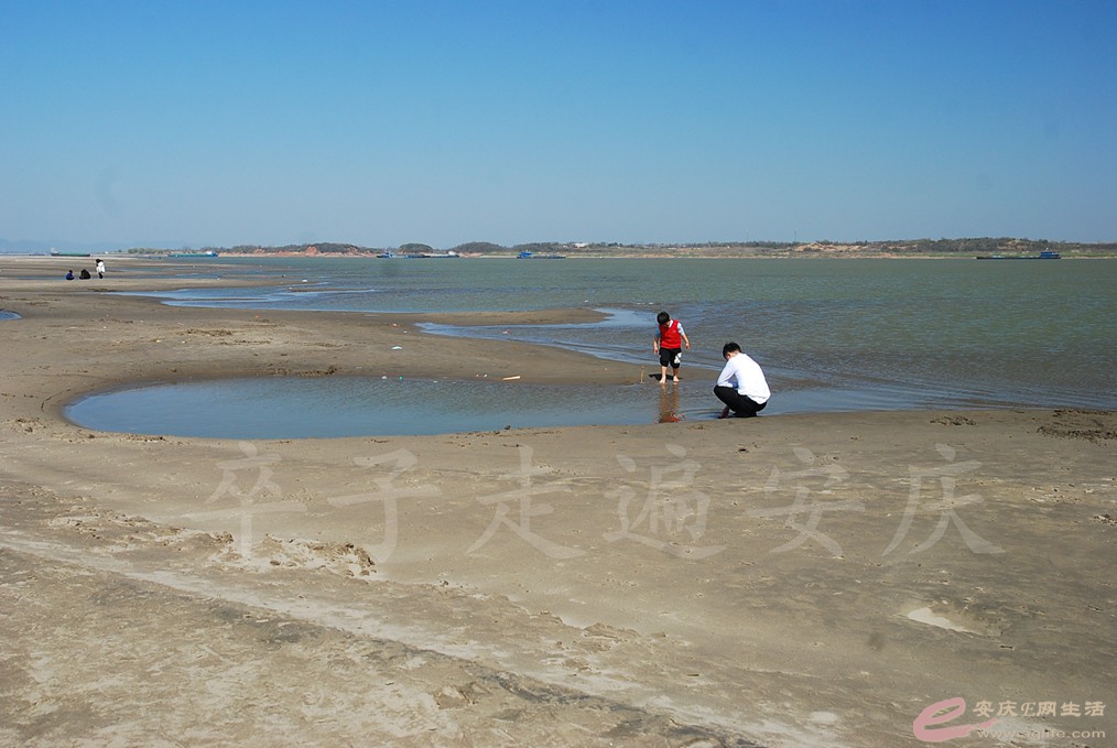 DSC_7463.jpg