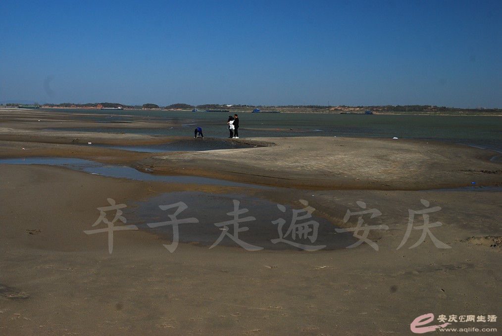 DSC_7471.jpg