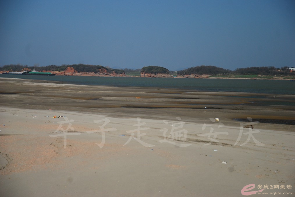 DSC_7478.jpg