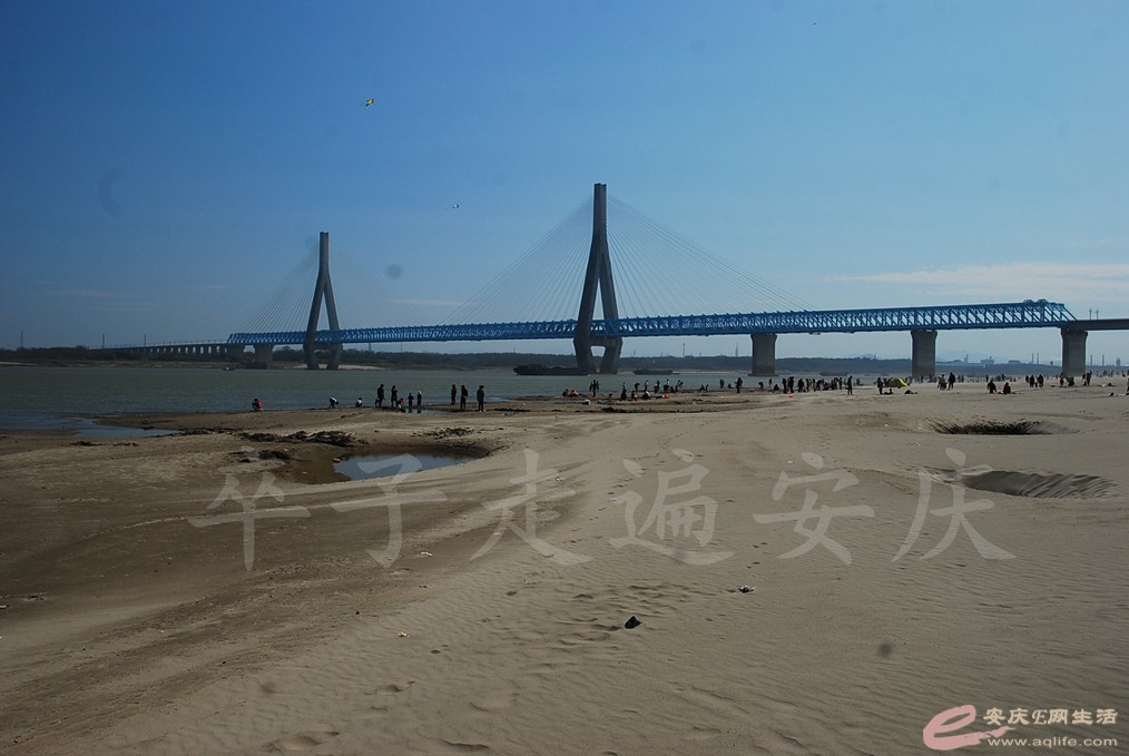 DSC_7490.jpg