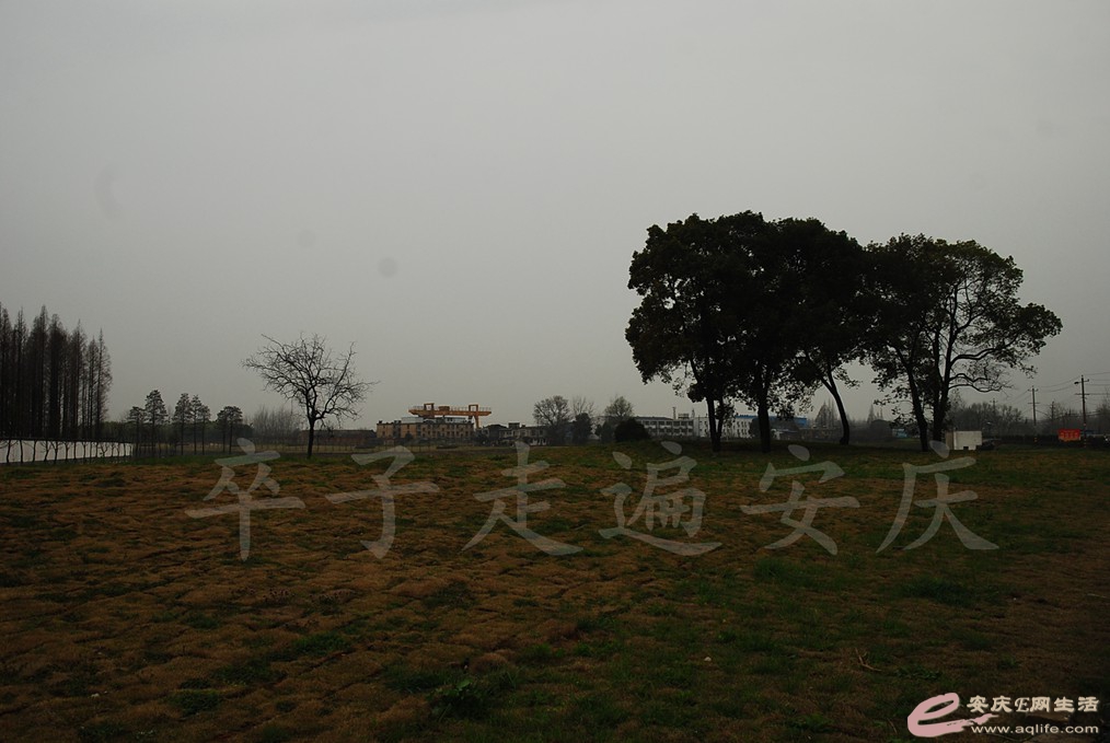 DSC_7549.jpg
