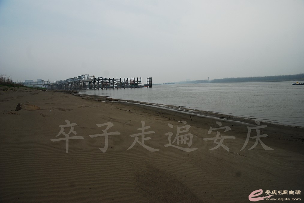 DSC_7562.jpg