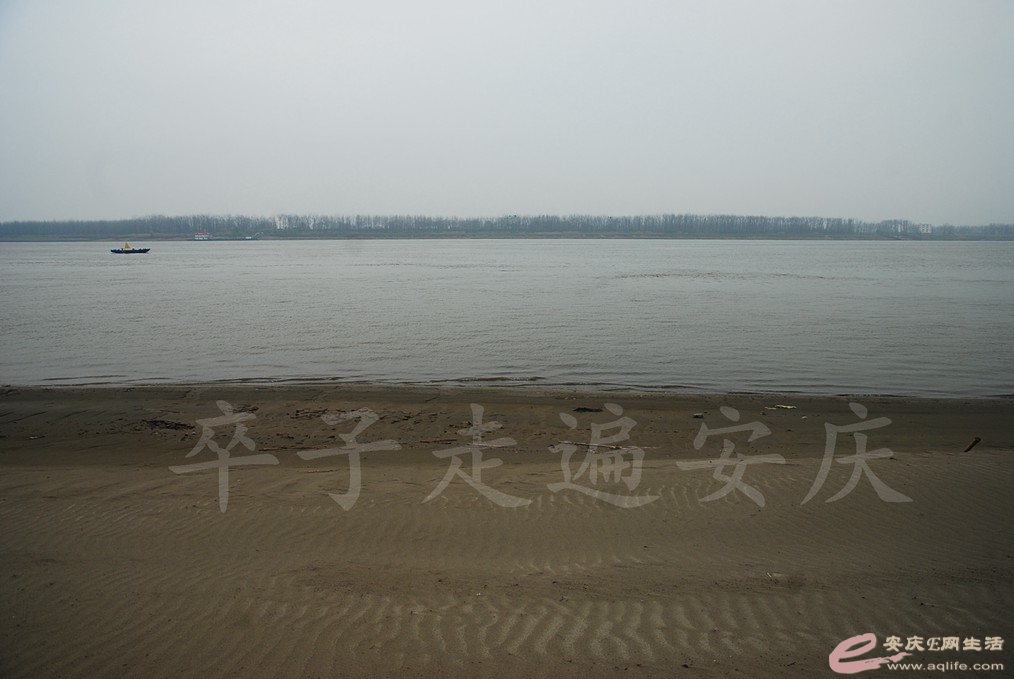 DSC_7564.jpg
