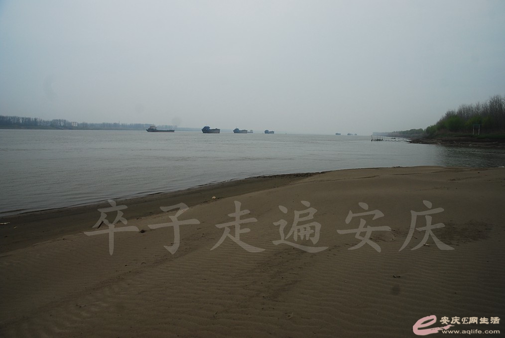 DSC_7565.jpg