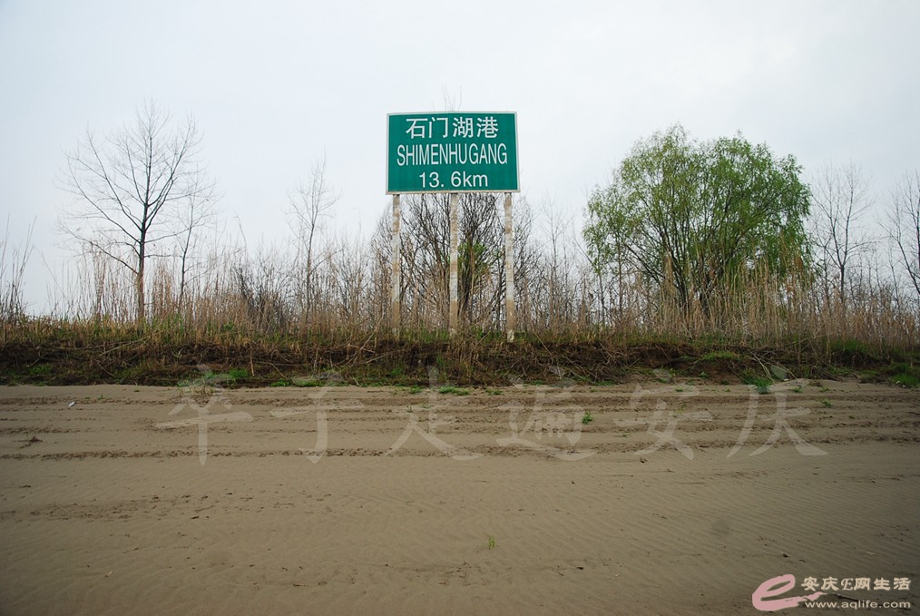 DSC_7567.jpg