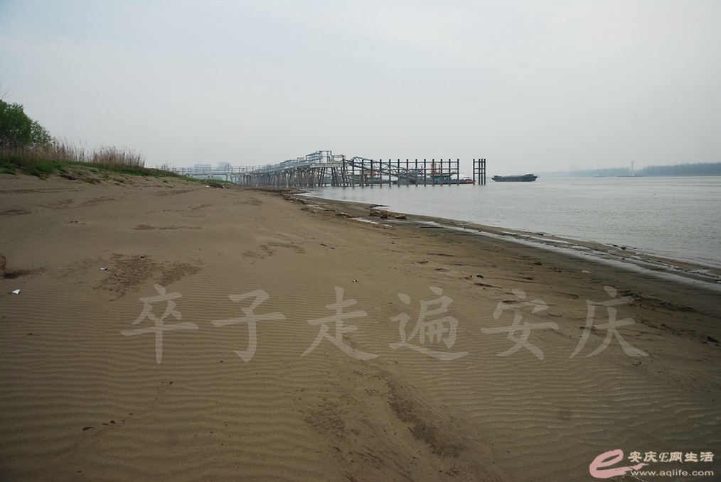 DSC_7569.jpg