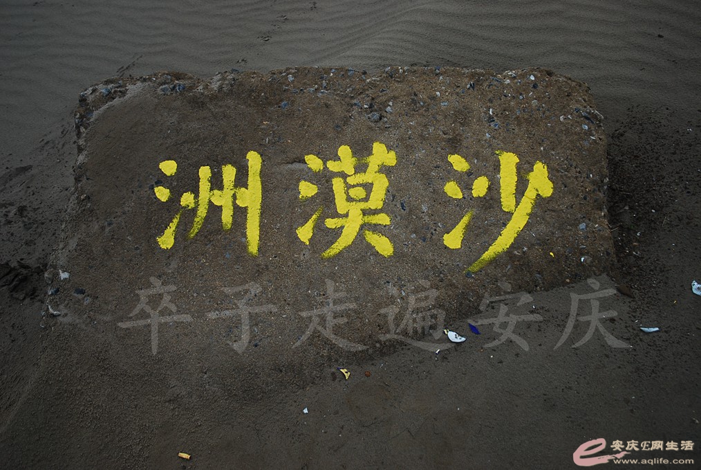 DSC_7570.jpg