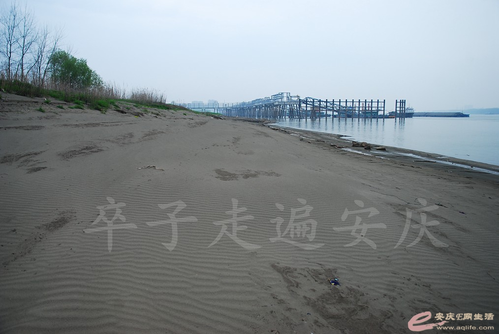 DSC_7575.jpg
