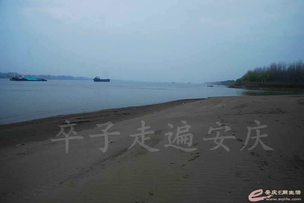 DSC_7577.jpg