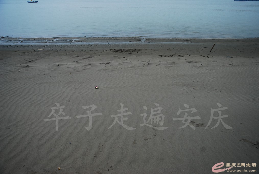 DSC_7578.jpg