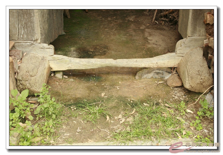 20140719 154.jpg