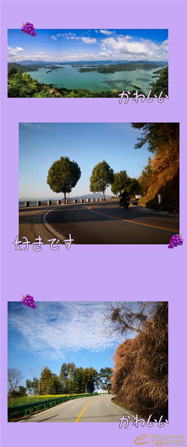 143903kb0k8bqp22qy2i88.jpg