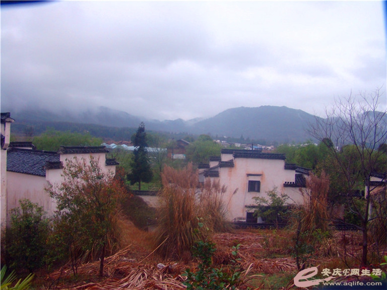 DSC09348.jpg