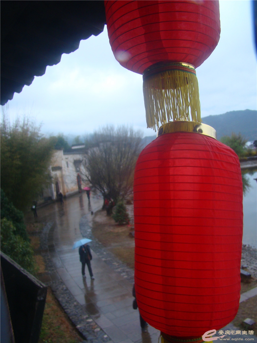 DSC09417.jpg