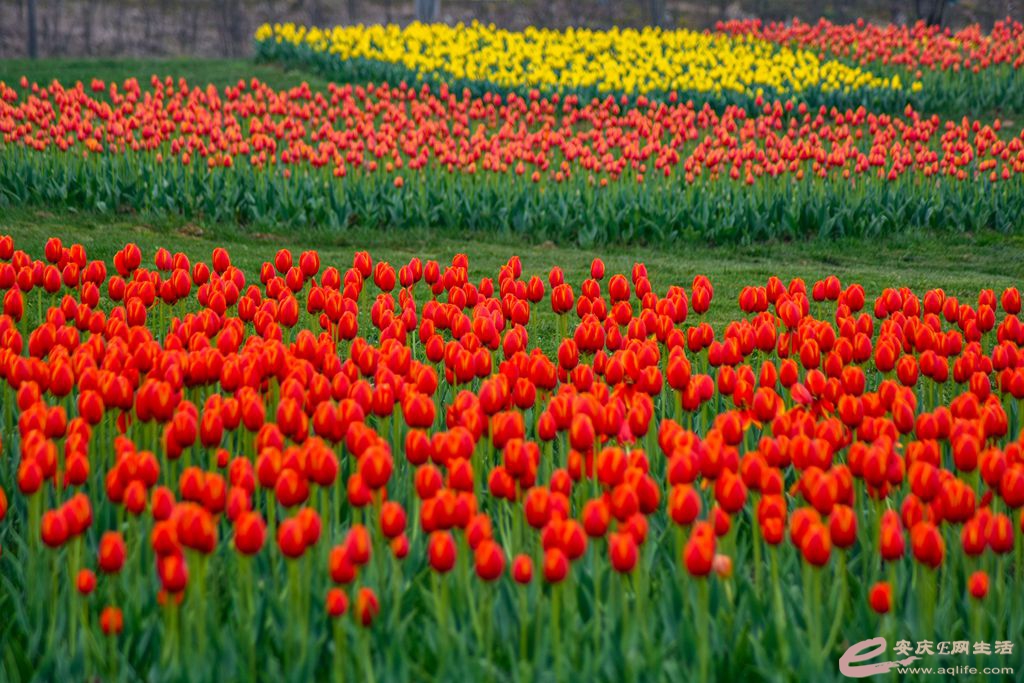 DSC_0286_.jpg