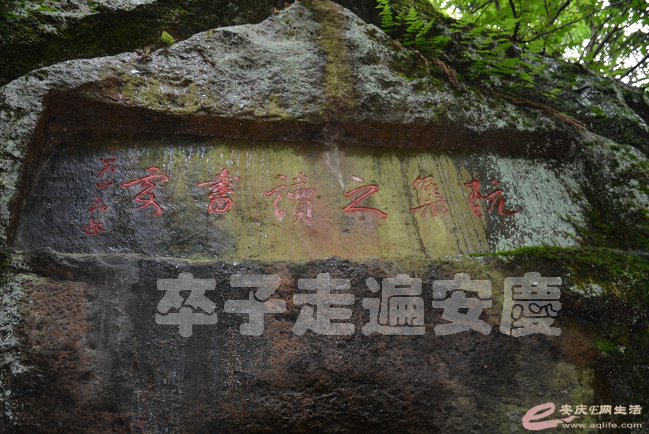 20160529 797.jpg