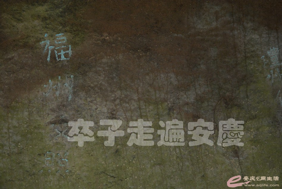 20160529 806.jpg