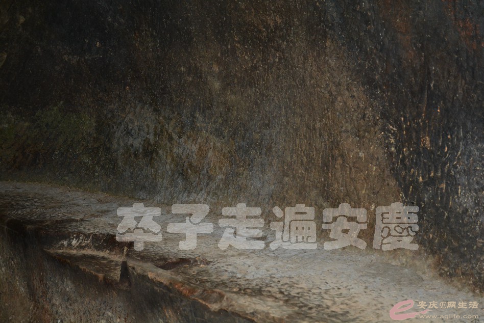 20160529 807.jpg