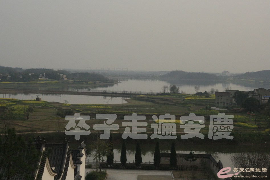 20170311 249.jpg