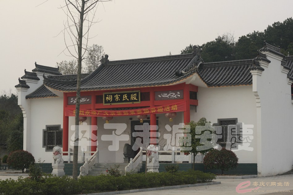20170311 255.jpg