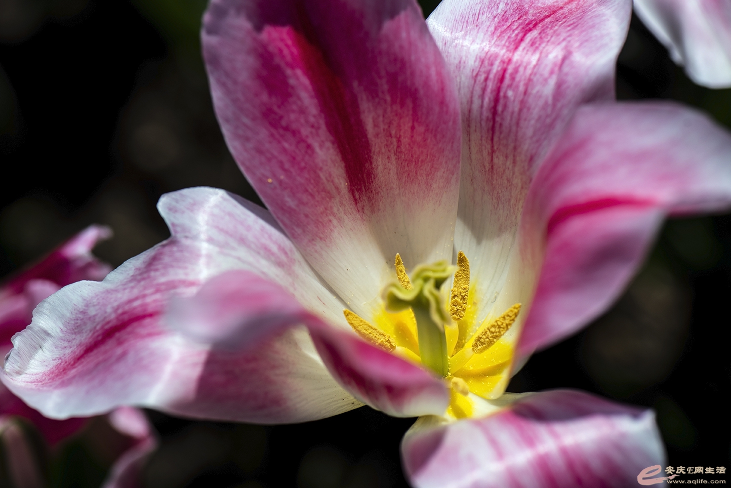 D75_9965.jpg