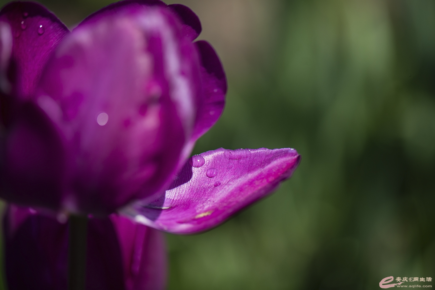 D75_9949.jpg