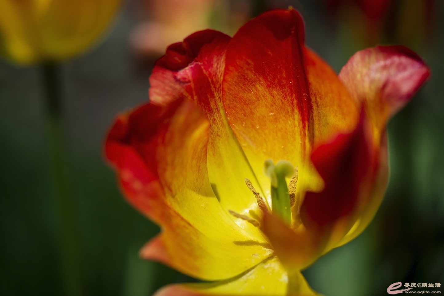 D75_9934.jpg