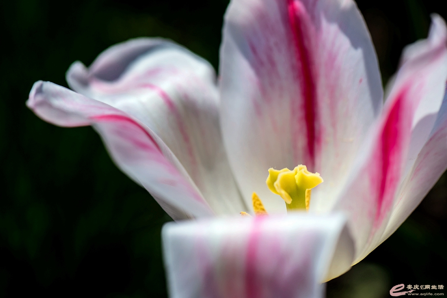 D75_9963.jpg