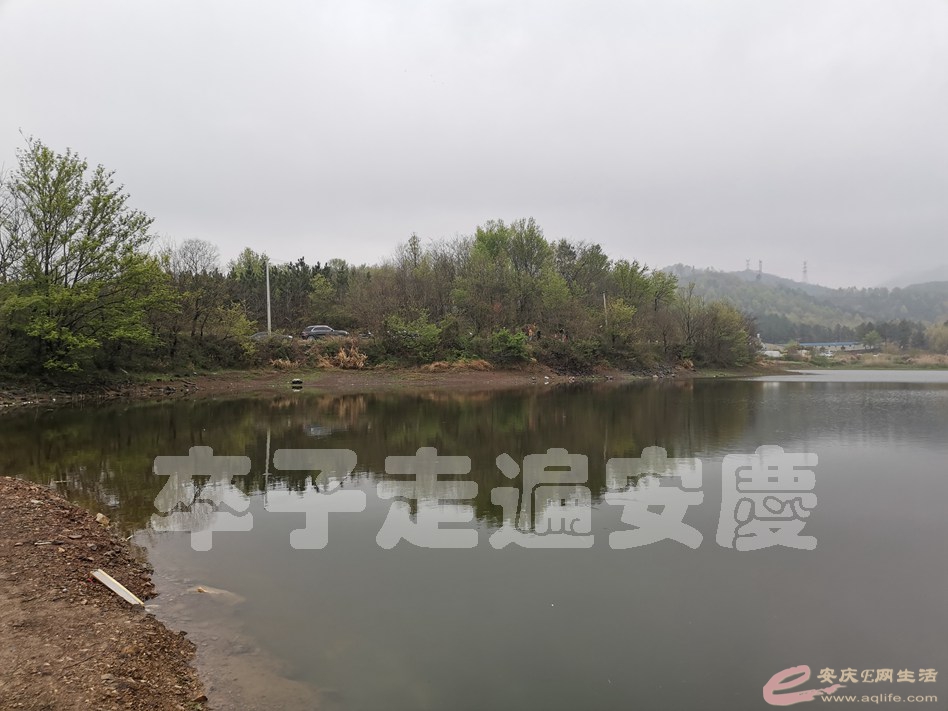 IMG_20210328_085400.jpg